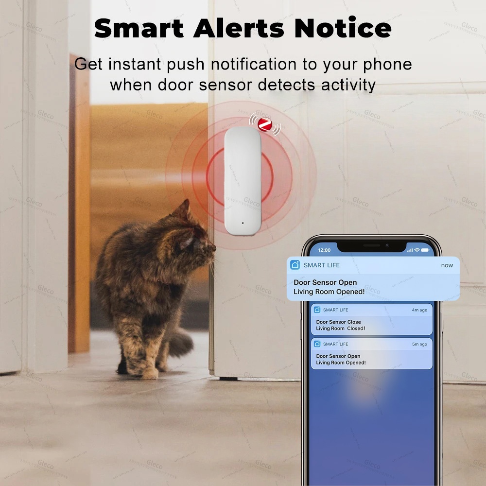 Tuya Zigbee Tür Fenster Sensor – Window Alarm Sensor Bewertung und Preis